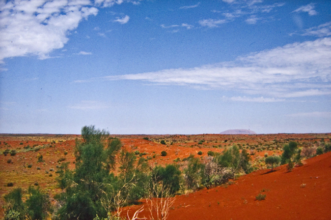 Noch 30 Kilometer - Der Uluru taucht in der Ferne auf